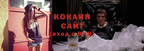 гидра Горнозаводск