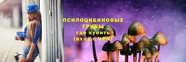 гидра Горнозаводск