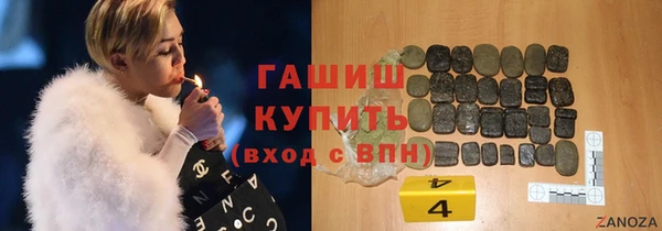 гидра Горнозаводск