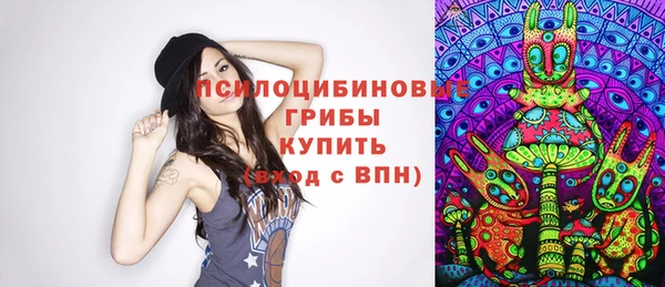 мяу мяу мука Горняк