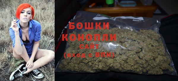гидра Горнозаводск