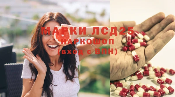 мяу мяу мука Горняк