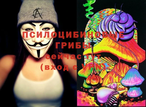 гидра Горнозаводск