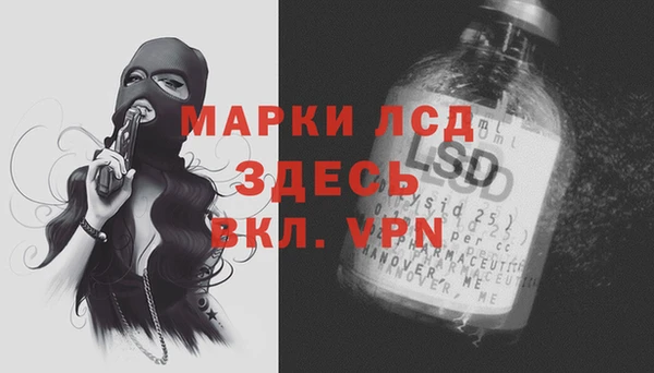 гидра Горнозаводск