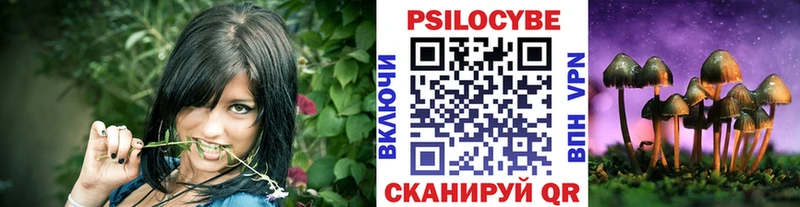 Галлюциногенные грибы Cubensis  Купить где  Котово 